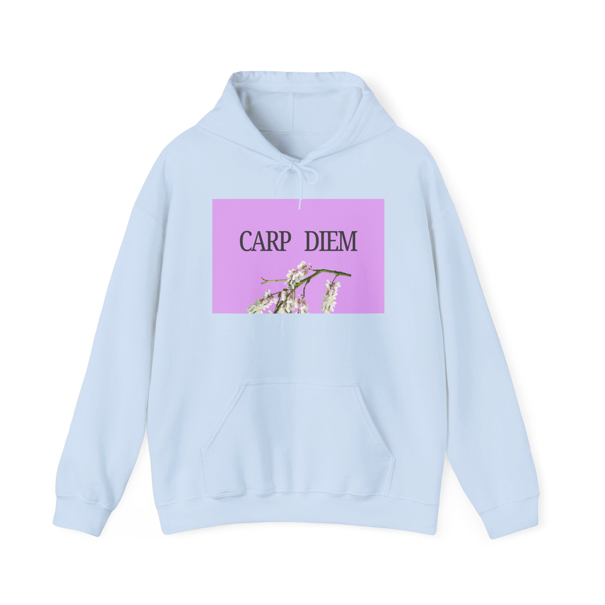 “CARP DIEM” Unisex Heavy Blend™ Hooded Sweatshirt