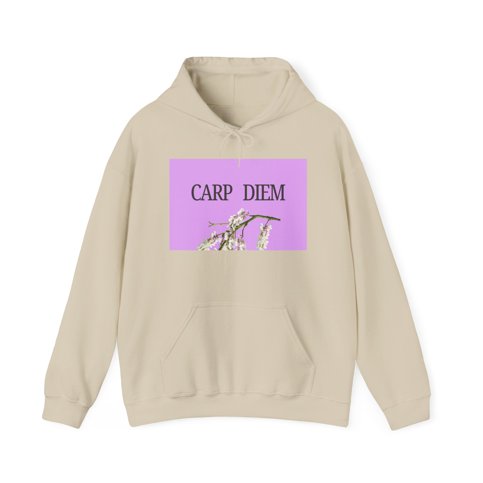 “CARP DIEM” Unisex Heavy Blend™ Hooded Sweatshirt