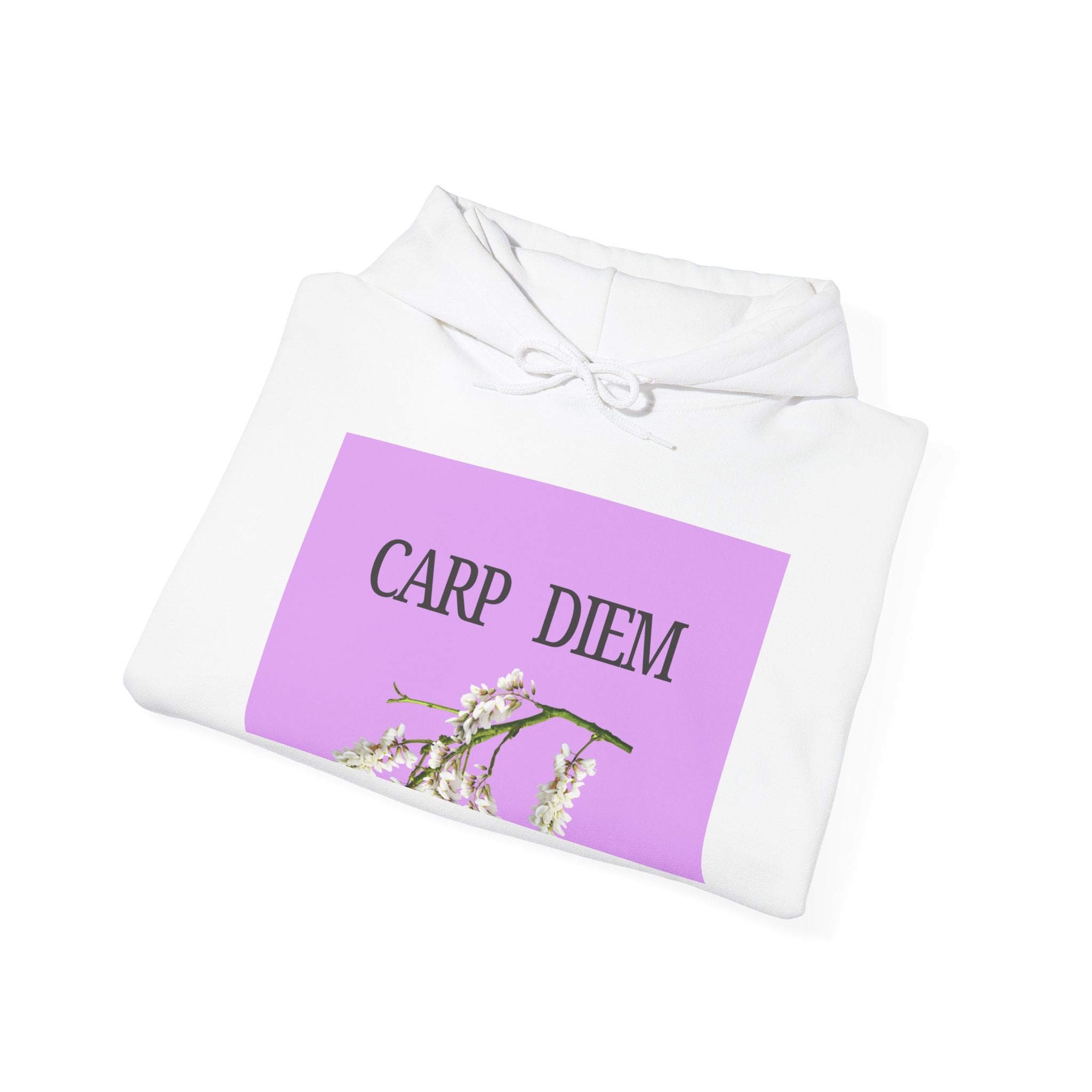 “CARP DIEM” Unisex Heavy Blend™ Hooded Sweatshirt
